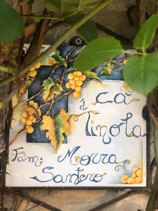Ca Tinola Hotel Mango Eksteriør billede